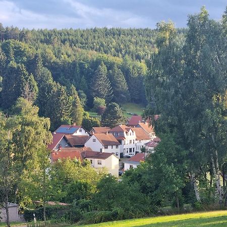 Superior - Ferienhaus Am Engelsbach Im Thueringer Wald Екстериор снимка